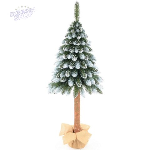 CHOINKA NA PNIU 100CM JODŁA DIAMENTOWA
