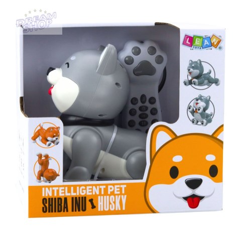 Interaktywny Robot Pies Husky Zdalnie Sterowany RC Głosem Sztuczki Szary