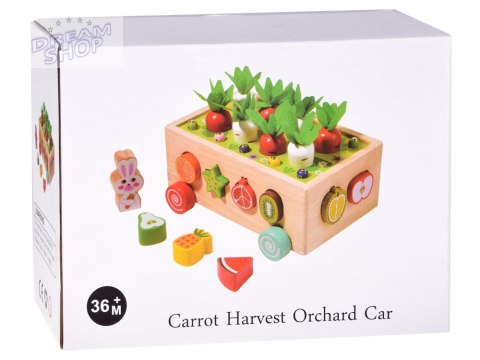 Sorter Montessori drewniany wózek złap robaczka marchewki układanka ZA5903