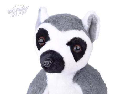 Maskotka duży pluszowy Lemur z Madagaskaru siedzący 27cm 14159