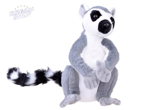 Maskotka duży pluszowy Lemur z Madagaskaru siedzący 27cm 14159