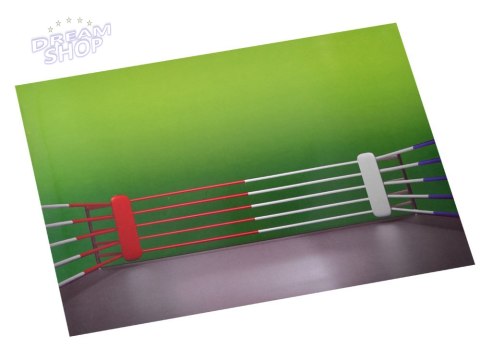 Boks zawody zabawka Bokserzy na pilota RC0597