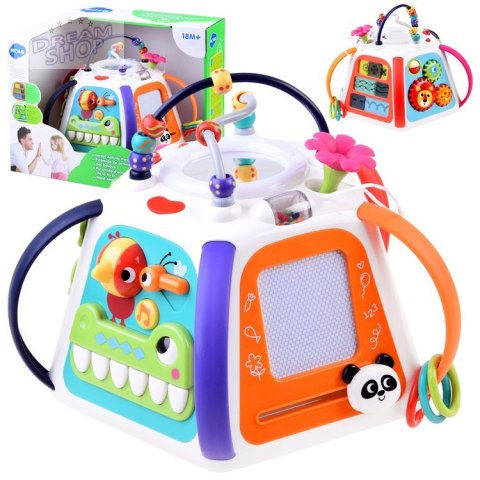 Hola Interaktywna edukacyjna multi kostka ZA3521