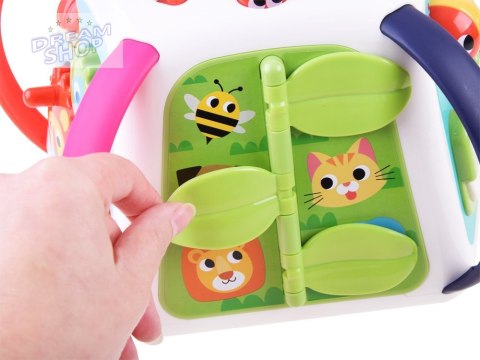 Hola Interaktywna edukacyjna multi kostka ZA3521