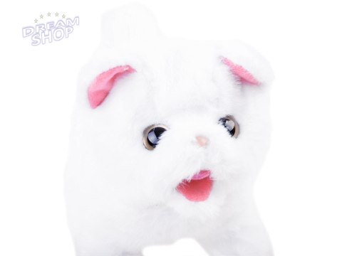 Interaktywny Kotek Psotek szuka mamy ZA3849