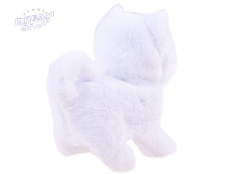 Interaktywny Kotek Psotek szuka mamy ZA3849