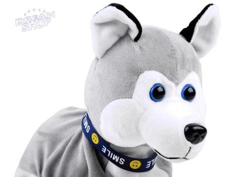 Interaktywny piesek Husky reaguje na dotyk Szczeka + różne sztuczki ZA1333