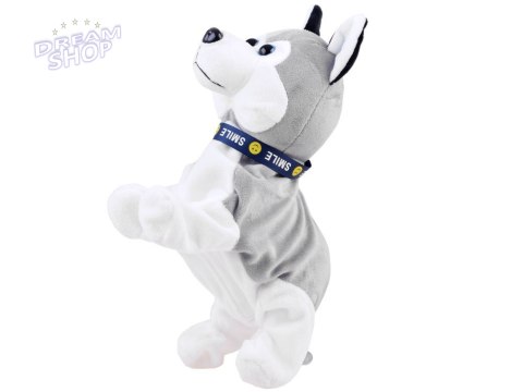 Interaktywny piesek Husky reaguje na dotyk Szczeka + różne sztuczki ZA1333