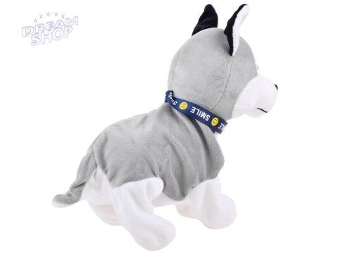 Interaktywny piesek Husky reaguje na dotyk Szczeka + różne sztuczki ZA1333