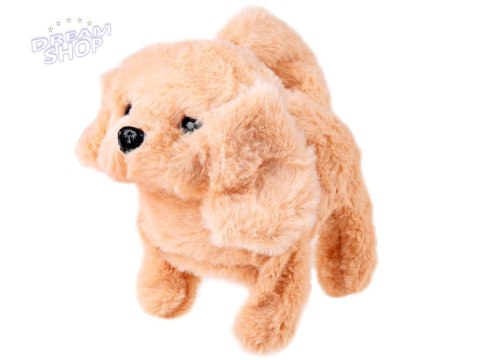 Interaktywny pluszowy Piesek w salonie SPA ZA4355