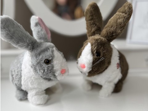 Interaktywny zwierzaczek chrupaczek Kicający Królik + marchewka ZA2685