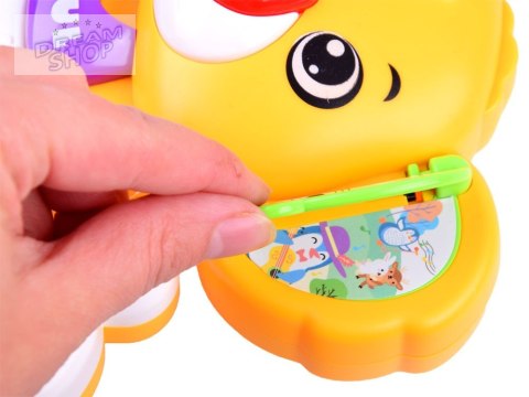 Kolorowe PIANINKO organki odgłosy zwierząt ZA3865