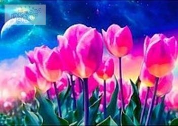 Malowania po numerach 30x40cm Lew Malowania po numerach 30x40cm Lew