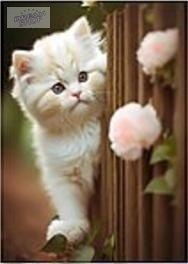 Mozaika diamentowa kotek 30x40cm Mozaika diamentowa kotek 30x40cm