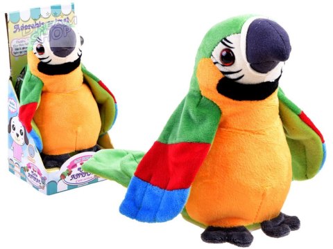 Papuga pleciuga powtarza mówi gada słowa ZA3887