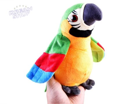 Papuga pleciuga powtarza mówi gada słowa ZA3887