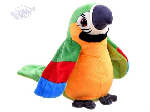 Papuga pleciuga powtarza mówi gada słowa ZA3887