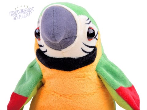 Papuga pleciuga powtarza mówi gada słowa ZA3887