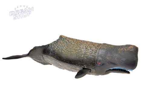 SERIA ZWIERZĘTA MORSKIE Zestaw figurek manta waleń kałamarnica sum ZA5173