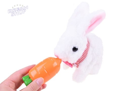 Uroczy Interaktywny Królik w koszyczku + akcesoria MASKOTKA ZA3551