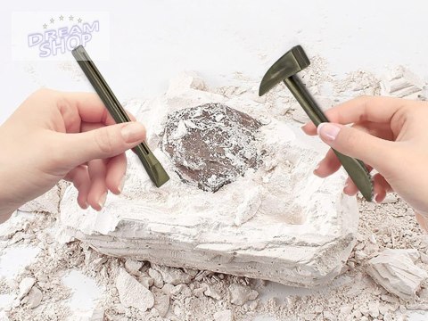 Zestaw archeologiczny Wykop niespodziankę skamieniałe LIŚCIE i KOŚCI ZA5753