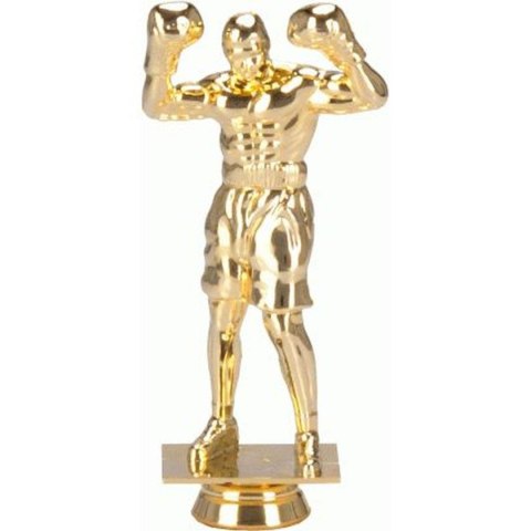 Figurka plastikowa boks F248/G