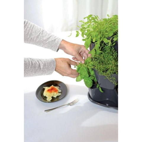 OGRÓD WERYKALNY DONICZKA KASKADA DO ZIÓŁ - BIAŁY