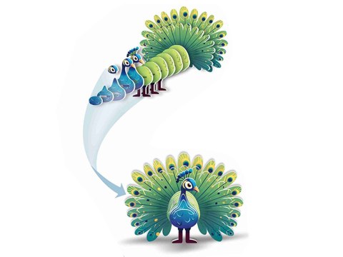 Puzzle 3D kartonowy model kolorowy PAW zrób to sam DIY 18ele ZA5718