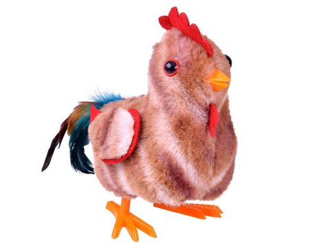 Dreptający KOGUT Bogdan kukuryku! - pieje i macha skrzydłami ZA6018