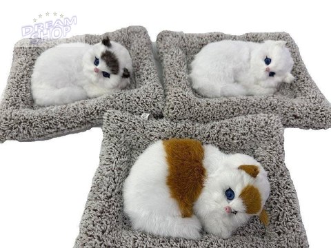 Kotek pluszowy na poduszce z dźwiękiem MIX Kotek pluszowy na poduszce z dźwiękiem MIX