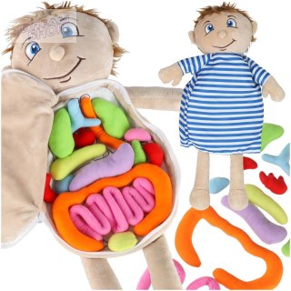 Lalka maskotka nauka anatomii chłopiec