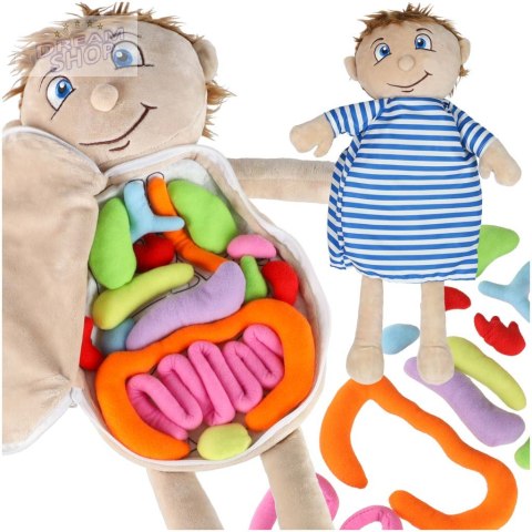 Lalka maskotka nauka anatomii chłopiec