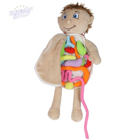 Lalka maskotka nauka anatomii chłopiec