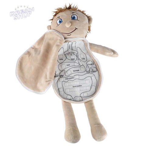 Lalka maskotka nauka anatomii chłopiec