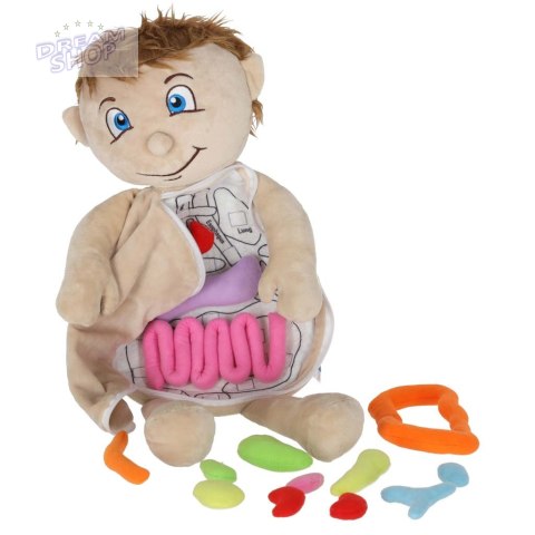 Lalka maskotka nauka anatomii chłopiec