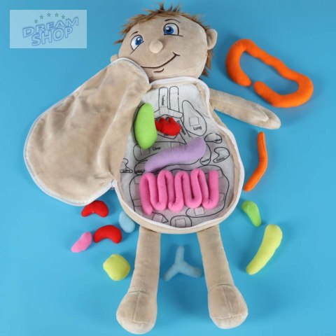 Lalka maskotka nauka anatomii chłopiec