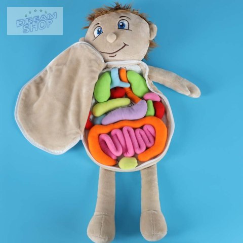 Lalka maskotka nauka anatomii chłopiec