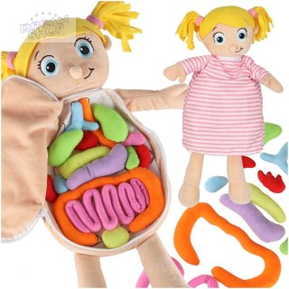 Lalka maskotka nauka anatomii dziewczynka