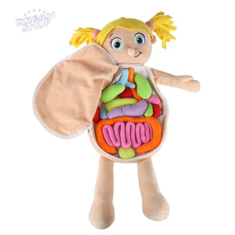 Lalka maskotka nauka anatomii dziewczynka