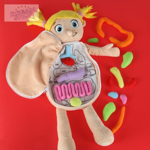 Lalka maskotka nauka anatomii dziewczynka
