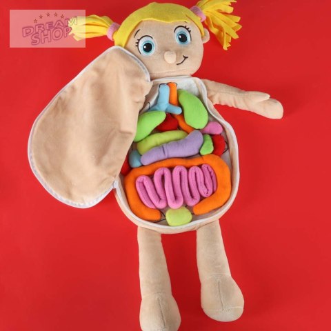 Lalka maskotka nauka anatomii dziewczynka