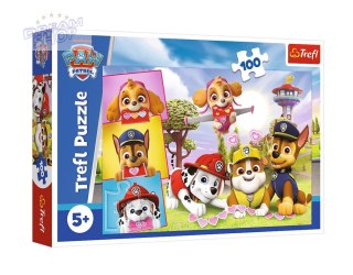 16520 100 - Nieustraszone dziewczyny / Viacom PAW Patrol FSC Mix 70% 16520