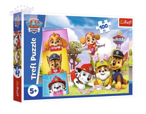 16520 100 - Nieustraszone dziewczyny / Viacom PAW Patrol FSC Mix 70% 16520 16520 100 - Nieustraszone dziewczyny / Viacom PAW Patrol FSC Mix 70% 16520