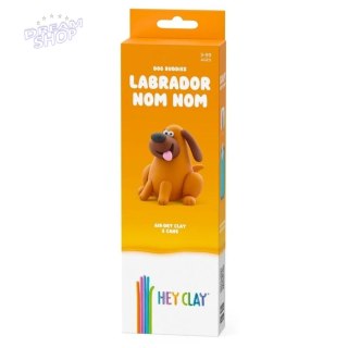 Hey Clay. Masa plastyczna - labrador