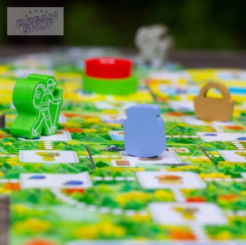 Gra rodzinna Pięć Szczytów Górskie Wędrówki Trefl 02517