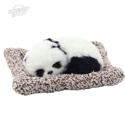 Śpiąca Panda Na Poduszce Figurka z Futerkiem Przeźroczysta Torba