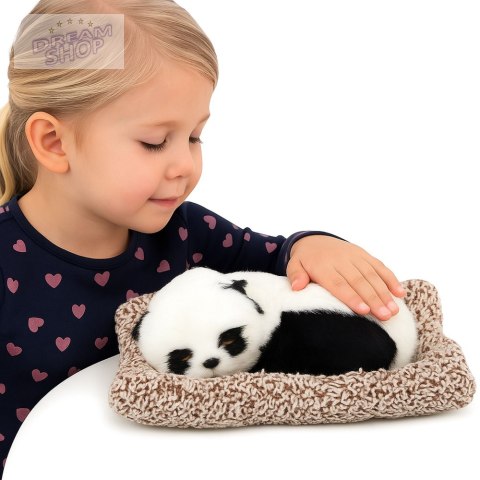 Śpiąca Panda Na Poduszce Figurka z Futerkiem Przeźroczysta Torba