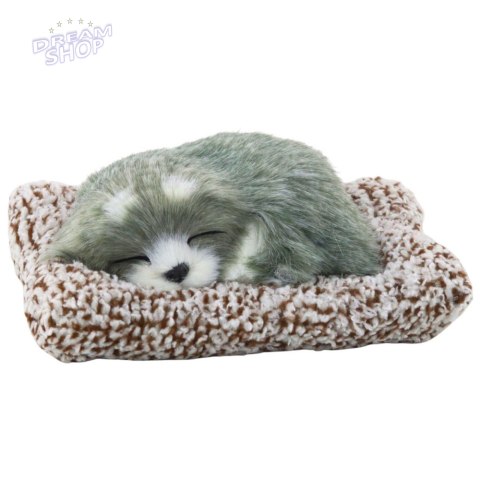 Śpiący Pies Husky Na Poduszce Figurka z Futerkiem Torba Dźwięki