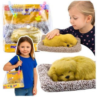 Śpiący Pies Labrador Szczeniak Na Poduszce Figurka z Futerkiem Torba