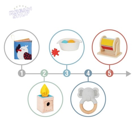 WOOPIE GREEN Box Pudełko XXL Montessori Edukacyjne 6w1 Sensoryczne 5-6 Mies